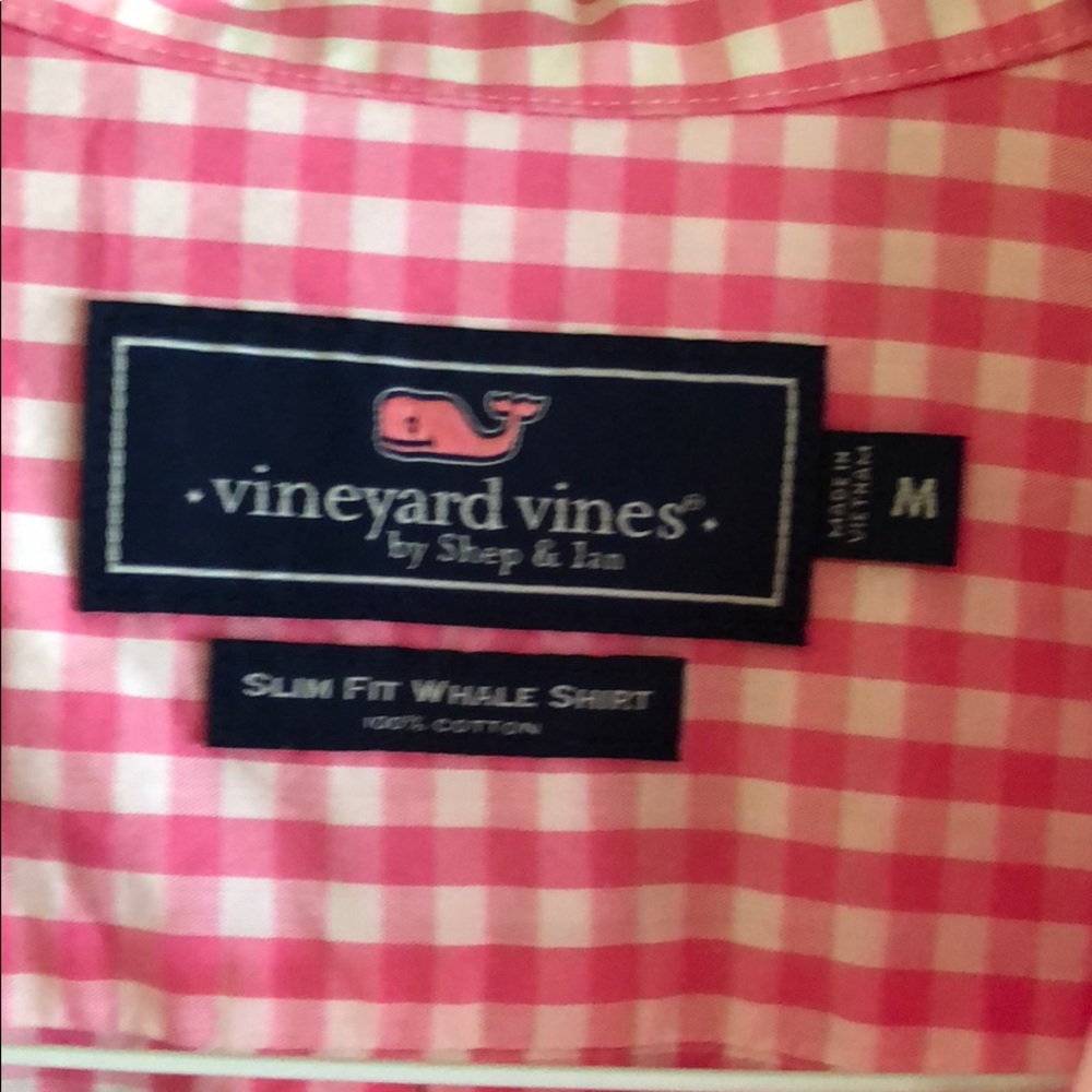 Men vineyard vine